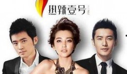 娱乐圈明星夫妻大爆料小说,明星夫妻大爆料内幕全解析